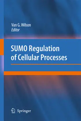 Wilson / Willson |  SUMO Regulation of Cellular Processes | eBook | Sack Fachmedien