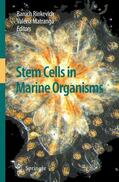 Matranga / Rinkevich |  Stem Cells in Marine Organisms | Buch |  Sack Fachmedien