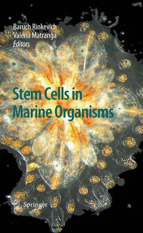 Rinkevich / Matranga | Stem Cells in Marine Organisms | E-Book | www.sack.de