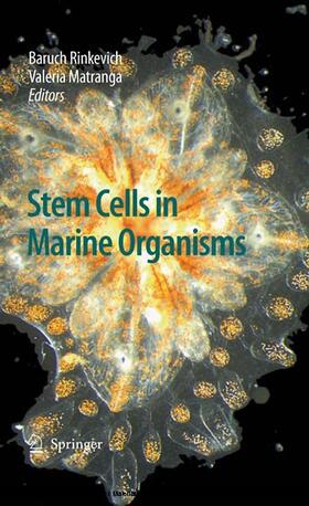 Rinkevich / Matranga | Stem Cells in Marine Organisms | E-Book | sack.de