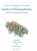 Murata / Wada |  Lipids in Photosynthesis | Buch |  Sack Fachmedien
