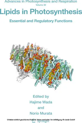 Wada / Murata |  Lipids in Photosynthesis | eBook | Sack Fachmedien