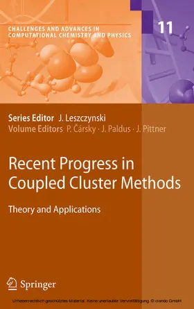 Cársky / Paldus / Pittner |  Recent Progress in Coupled Cluster Methods | eBook | Sack Fachmedien