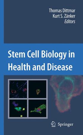 Zänker / Dittmar | Stem Cell Biology in Health and Disease | Buch | 978-90-481-3039-9 | sack.de