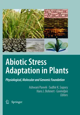 Pareek / Sopory / Bohnert |  Abiotic Stress Adaptation in Plants | eBook | Sack Fachmedien