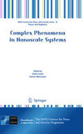 Casati / Matrasulov |  Complex Phenomena in Nanoscale Systems | eBook | Sack Fachmedien