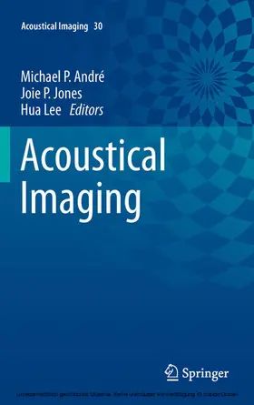 André / Jones / Lee |  Acoustical Imaging | eBook | Sack Fachmedien