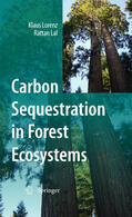 Lorenz / Lal |  Carbon Sequestration in Forest Ecosystems | eBook | Sack Fachmedien