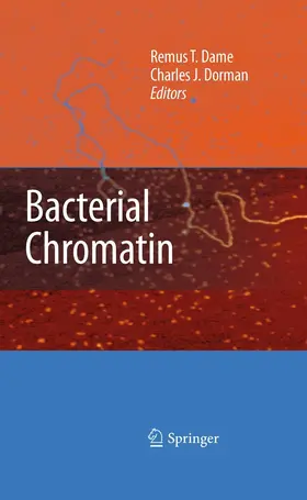 Dame / Dorman |  Bacterial Chromatin | eBook | Sack Fachmedien