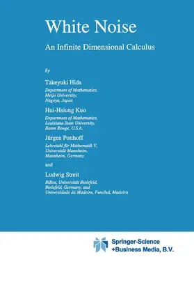 Hida / Streit / Potthoff |  White Noise | Buch |  Sack Fachmedien