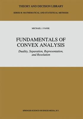 Panik | Fundamentals of Convex Analysis | Buch | 978-90-481-4271-2 | sack.de