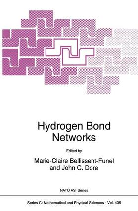 Dore / Bellissent-Funel | Hydrogen Bond Networks | Buch | 978-90-481-4412-9 | sack.de
