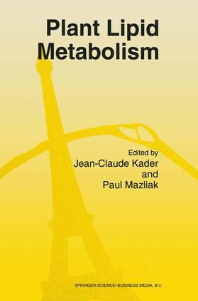 Mazliak / Kader | Plant Lipid Metabolism | Buch | 978-90-481-4498-3 | sack.de