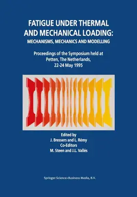 Rémy / Bressers |  Fatigue under Thermal and Mechanical Loading: Mechanisms, Mechanics and Modelling | Buch |  Sack Fachmedien
