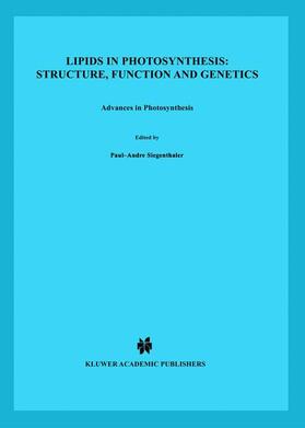 Murata / Siegenthaler | Lipids in Photosynthesis: Structure, Function and Genetics | Buch | 978-90-481-5068-7 | sack.de