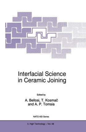Bellosi / Tomsia / Kosmac | Interfacial Science in Ceramic Joining | Buch | 978-90-481-5086-1 | sack.de