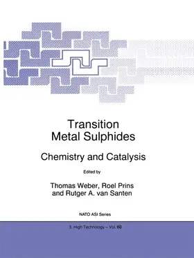 Weber / van Santen / Prins | Transition Metal Sulphides | Buch | 978-90-481-5100-4 | sack.de