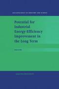 de Beer |  Potential for Industrial Energy-Efficiency Improvement in the Long Term | Buch |  Sack Fachmedien
