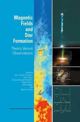 Gómez de Castro / Heyer / Pudritz |  Magnetic Fields and Star Formation | Buch |  Sack Fachmedien