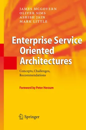 McGovern / Little / Sims |  Enterprise Service Oriented Architectures | Buch |  Sack Fachmedien