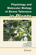 Madhava Rao / Janardhan Reddy / Raghavendra |  Physiology and Molecular Biology of Stress Tolerance in Plants | Buch |  Sack Fachmedien