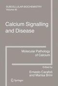 Brini / Carafoli |  Calcium Signalling and Disease | Buch |  Sack Fachmedien