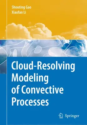 Li / Gao | Cloud-Resolving Modeling of Convective Processes | Buch | 978-90-481-7829-2 | www.sack.de