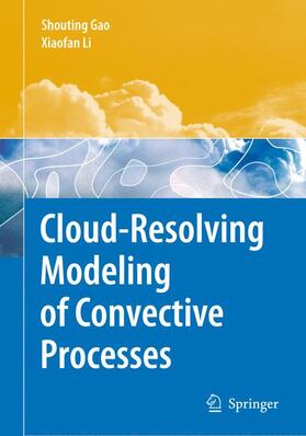 Li / Gao | Cloud-Resolving Modeling of Convective Processes | Buch | 978-90-481-7829-2 | sack.de