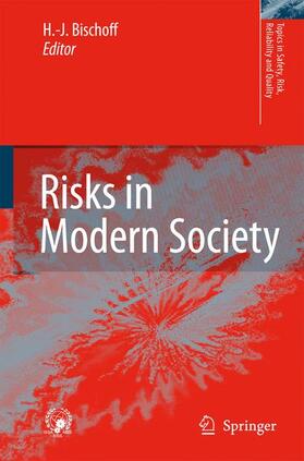 Bischoff | Risks in Modern Society | Buch | 978-90-481-7832-2 | sack.de