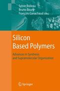 Ganachaud / Boury / Boileau |  Silicon Based Polymers | Buch |  Sack Fachmedien