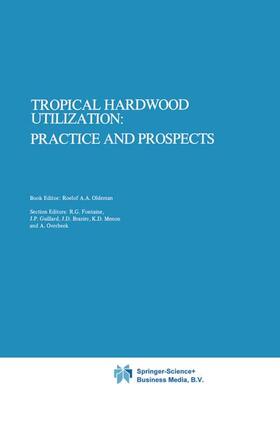 Oldeman / Alkema / Peck | Tropical Hardwood Utilization: Practice and Prospects | Buch | 978-90-481-8271-8 | sack.de
