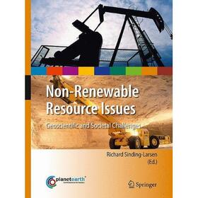 Wellmer / Sinding-Larsen | Non-Renewable Resource Issues | Buch | 978-90-481-8678-5 | sack.de