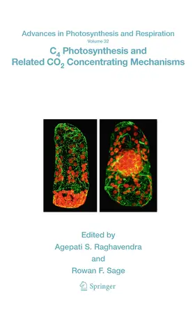 Raghavendra / Sage | C4 Photosynthesis and Related CO2 Concentrating Mechanisms | E-Book | www.sack.de