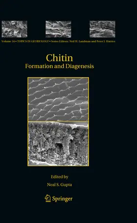 Gupta |  Chitin | eBook | Sack Fachmedien