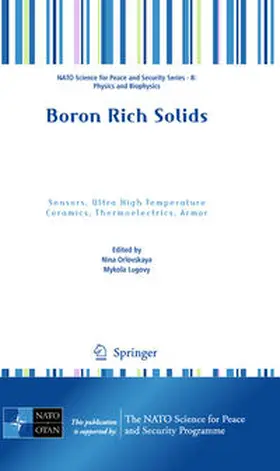 Orlovskaya / Lugovy | Boron Rich Solids | E-Book | www.sack.de