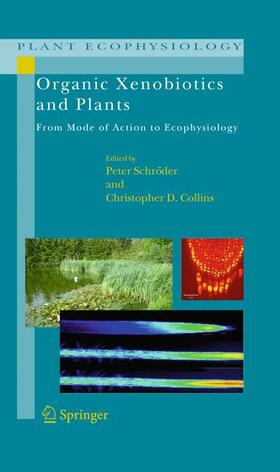 Collins / Schröder | Organic Xenobiotics and Plants | Buch | 978-90-481-9851-1 | sack.de