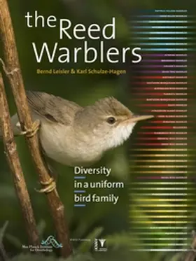 Leisler / Schulze-Hagen | The Reed Warblers | Buch | 978-90-5011-391-5 | sack.de