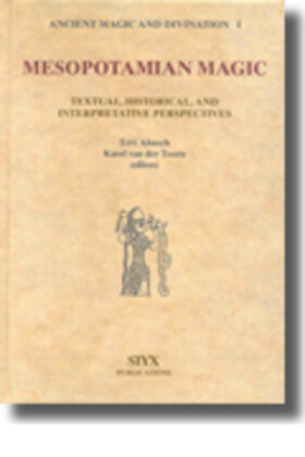 Abusch / Toorn | Mesopotamian Magic: Textual, Historical and Interpretative Perspectives | Buch | 978-90-5693-033-2 | sack.de