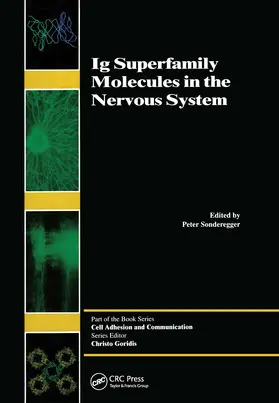 Sonderegger | Ig Superfamily Molecules in the Nervous System | Buch | 978-90-5702-411-5 | www.sack.de