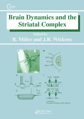 Miller / Wickens |  Brain Dynamics and the Striatal Complex | Buch |  Sack Fachmedien