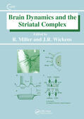 Miller / Wickens |  Brain Dynamics and the Striatal Complex | Buch |  Sack Fachmedien