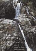 Bedmar / Araguas |  Detection and the Prevention of Leaks from Dams | Buch |  Sack Fachmedien