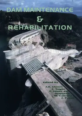 Cabrera |  Dam Maintenance and Rehabilitation | Buch |  Sack Fachmedien