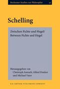 Asmuth / Denker / Vater |  Schelling | Buch |  Sack Fachmedien