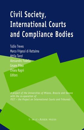 Treves / Frigessi di Rattalma / Fodella | Civil Society, International Courts and Compliance Bodies | Buch | 978-90-6704-186-7 | sack.de