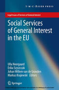 Neergaard / Szyszczak / van de Gronden |  Social Services of General Interest in the EU | eBook | Sack Fachmedien