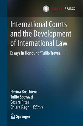 Boschiero / Ragni / Scovazzi | International Courts and the Development of International Law | Buch | 978-90-6704-893-4 | sack.de