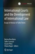 Boschiero / Ragni / Scovazzi |  International Courts and the Development of International Law | Buch |  Sack Fachmedien