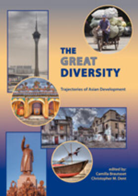 Brautaset / Dent | The great diversity | Buch | 978-90-8686-233-7 | sack.de