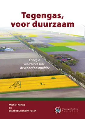 Köhne / Dueholm Rasch |  Tegengas, Voor Duurzaam | Buch |  Sack Fachmedien